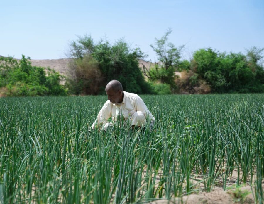 Rural community