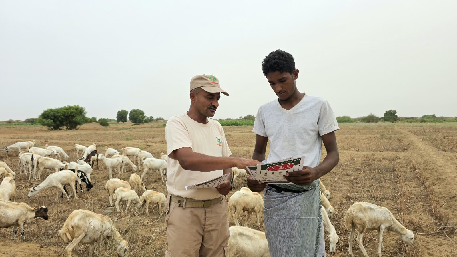 In pictures: Project Masam intensifies Explosive Ordnance Risk Education in Yemen’s Midi region