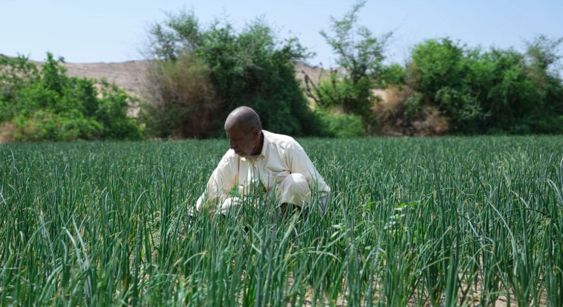 Rural community