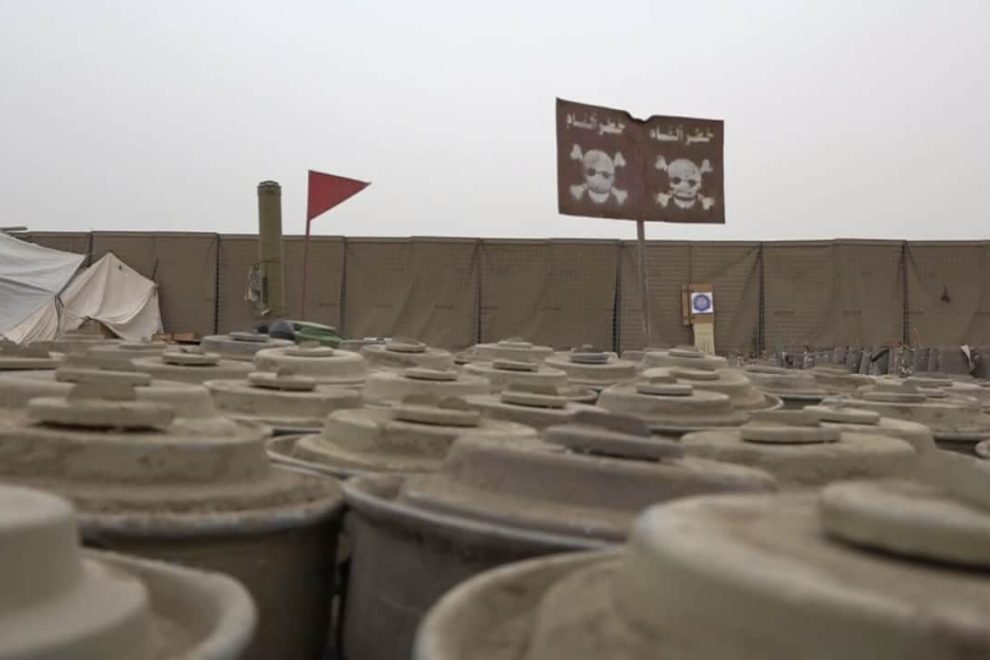 WhatsApp Image 2018 07 15 at 18.56.48