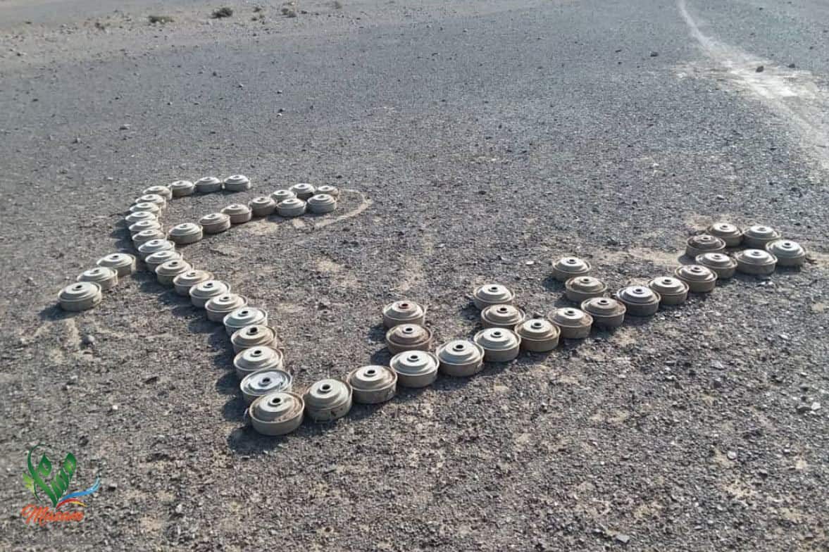 الفريق السابع جديد