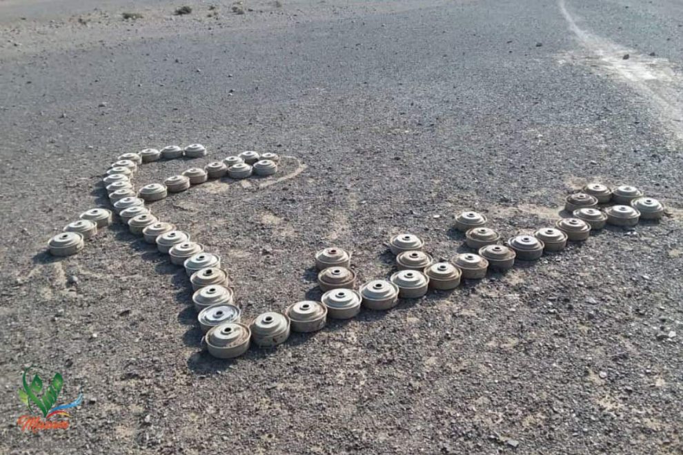 الفريق السابع جديد