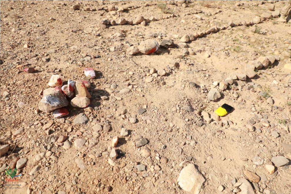 8c88a5fa 01a3 46c6 9125 e3c00540d494 1