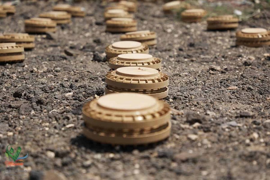 WhatsApp Image 2018-10-21 at 11.15.18(1)