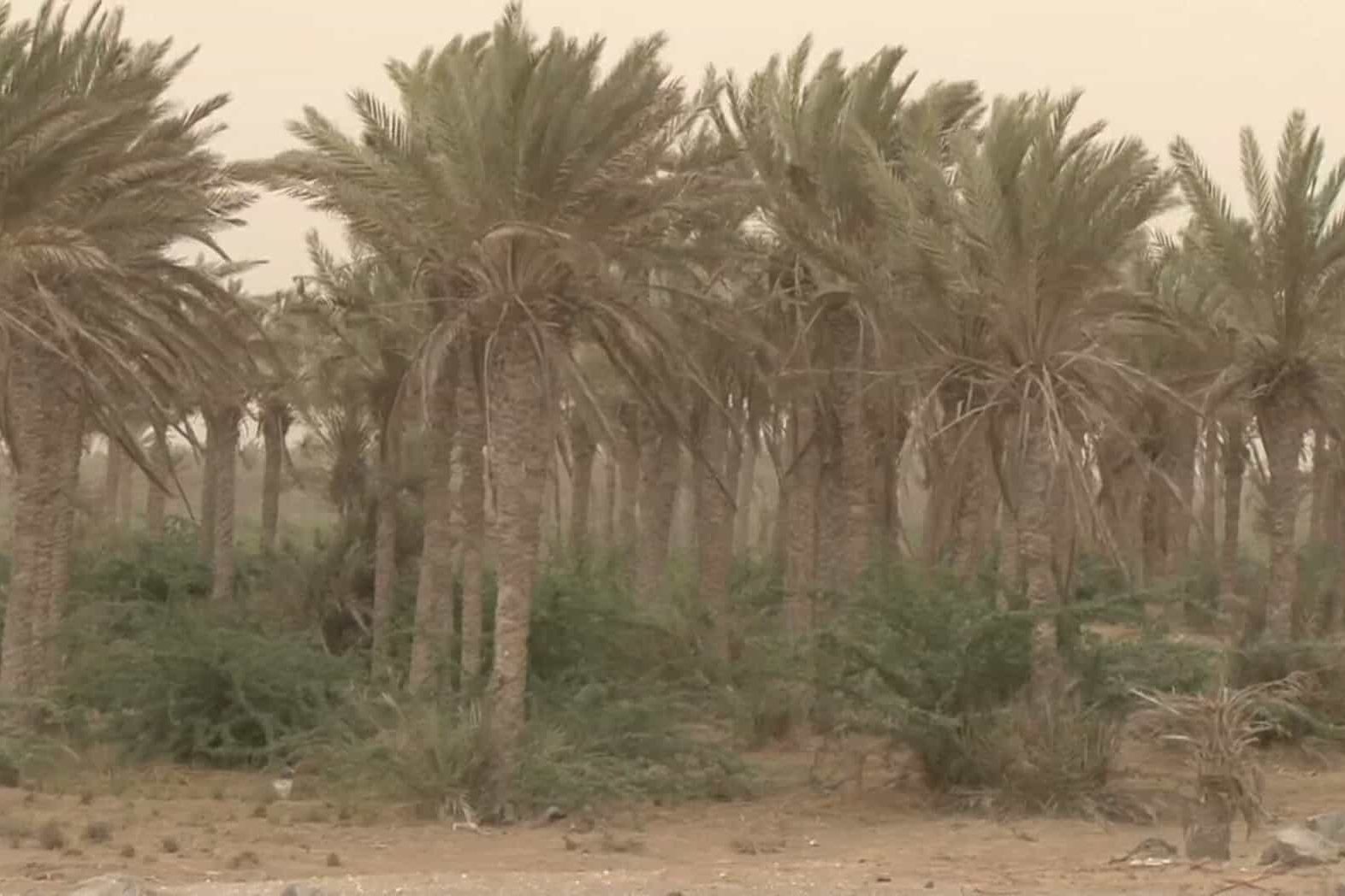 Grab 20180716 142658 89