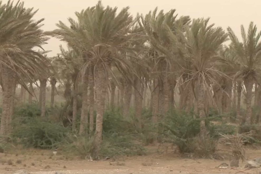 Grab 20180716 142658 89