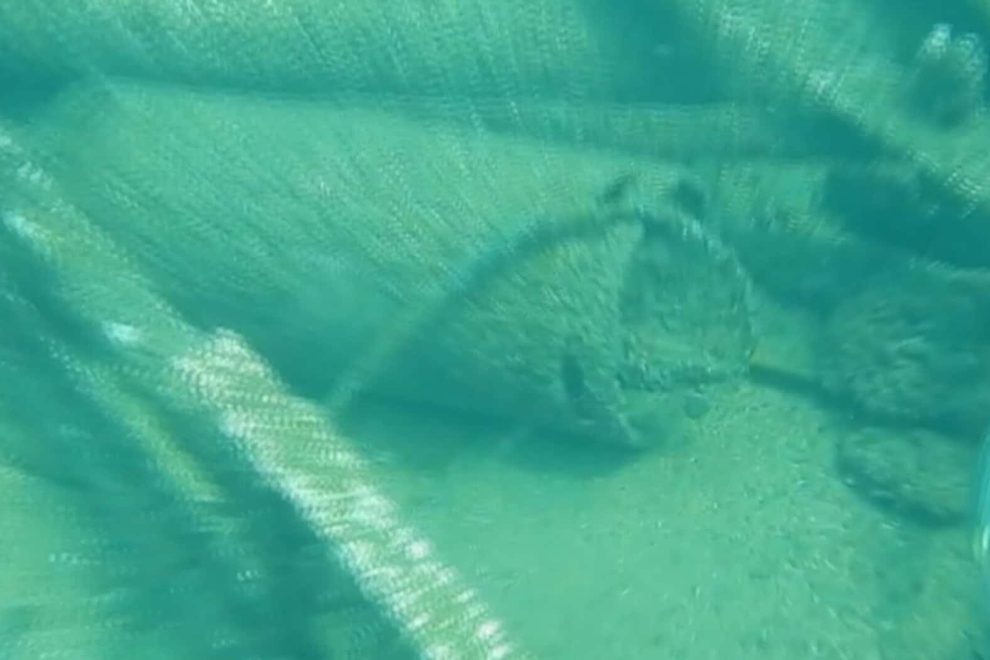 Grab 20180902 121845 89