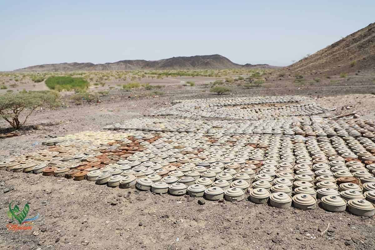 WhatsApp Image 2018 09 30 at 13.05.17