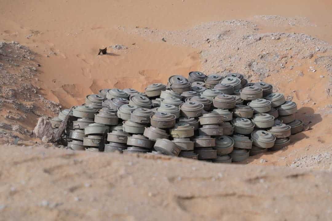 WhatsApp Image 2019 08 06 at 01.18.23