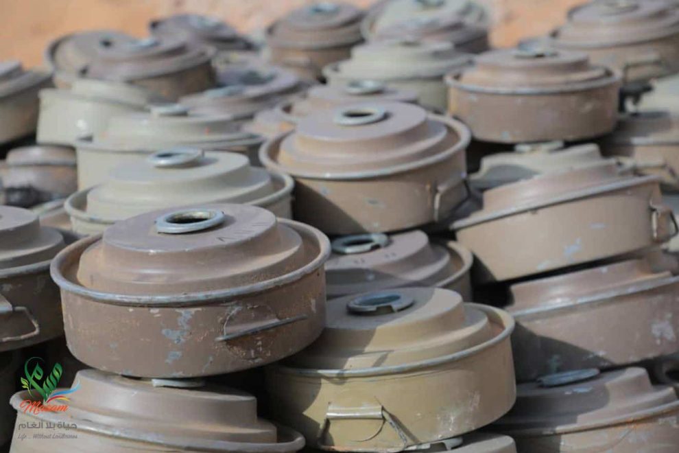 الأسبوع الثاني