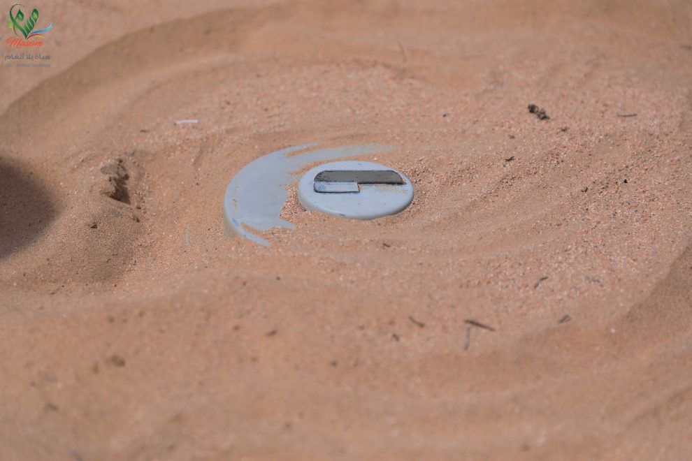 42e752ea 1f89 4f5a bacb fe223c4171e7