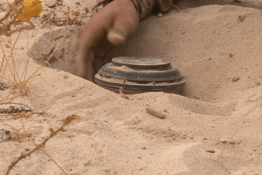 67388412 3102383306468716 7235576928157879508 n