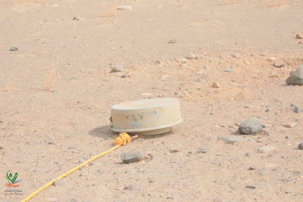 WhatsApp Image 2019 07 13 at 00.16.02 1