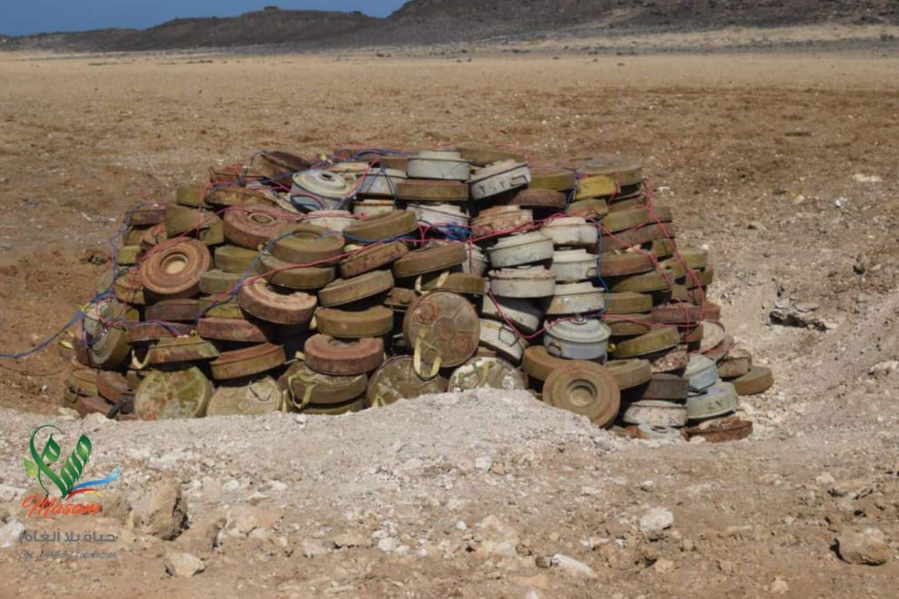 باب المندب ميزون