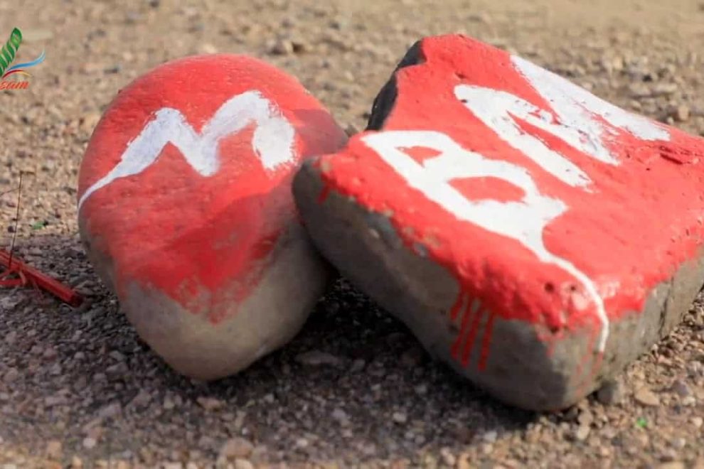 المسح الفني