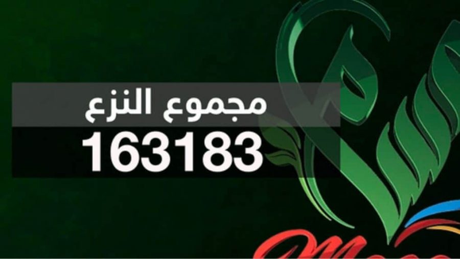 الاسبوع الرابع