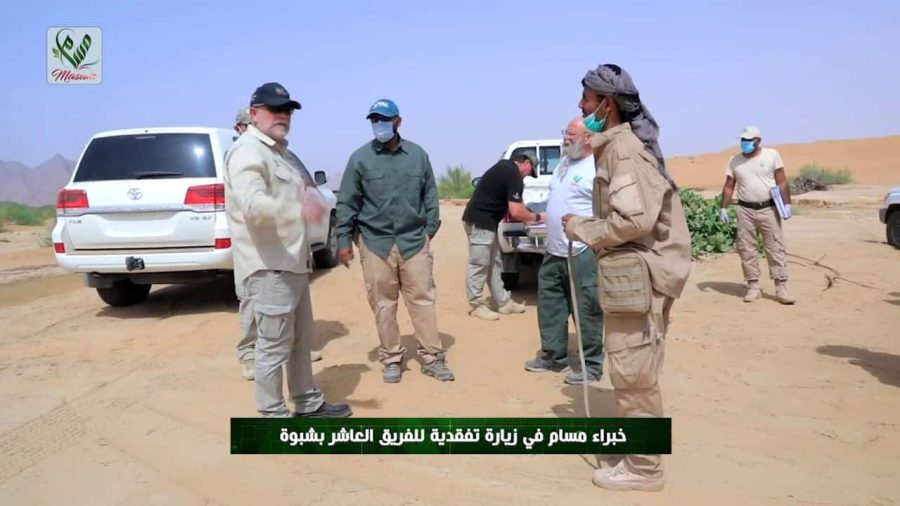 الفريق العاشر