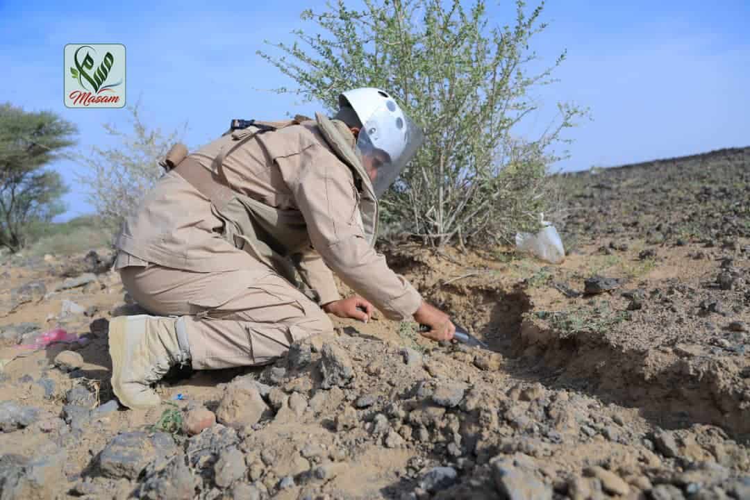 الفريق 13 3 Copy Copy