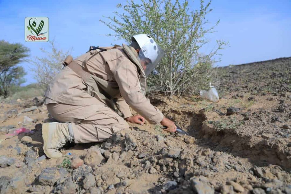 الفريق 13 3 Copy Copy