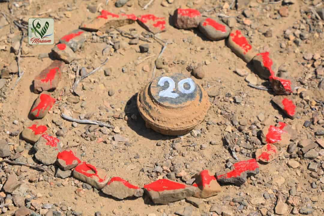 WhatsApp Image 2020 11 09 at 18.58.16