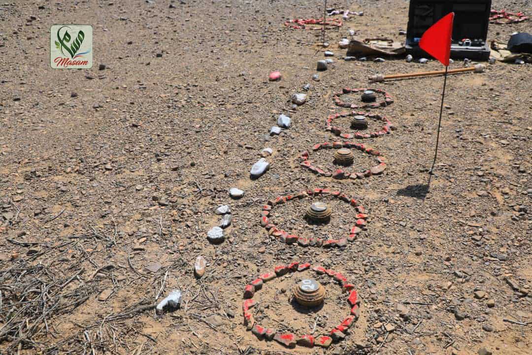 WhatsApp Image 2020 11 09 at 18.58.22