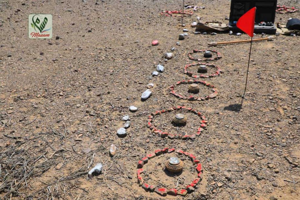 WhatsApp Image 2020 11 09 at 18.58.22