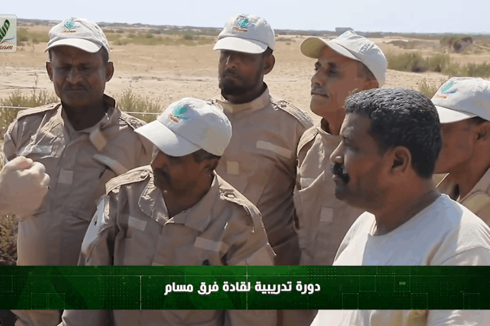 قادة الفرق 2