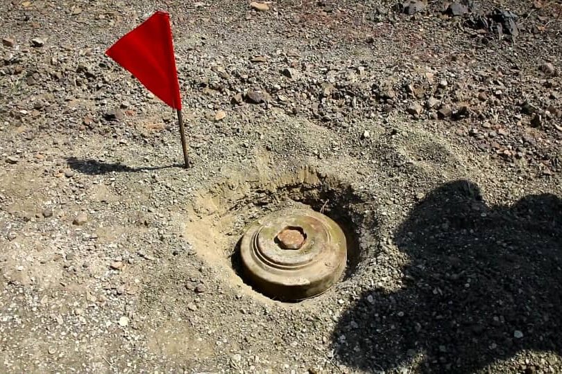 WhatsApp Image 2020 09 17 at 22.00.11