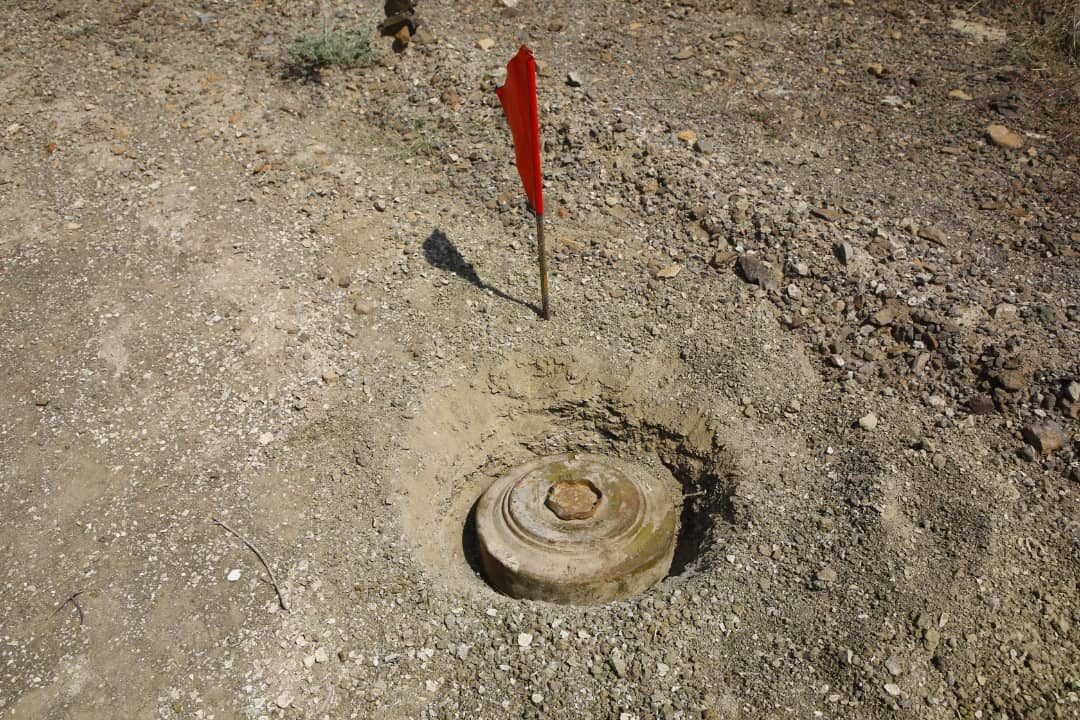 WhatsApp Image 2020 09 17 at 22.00.25