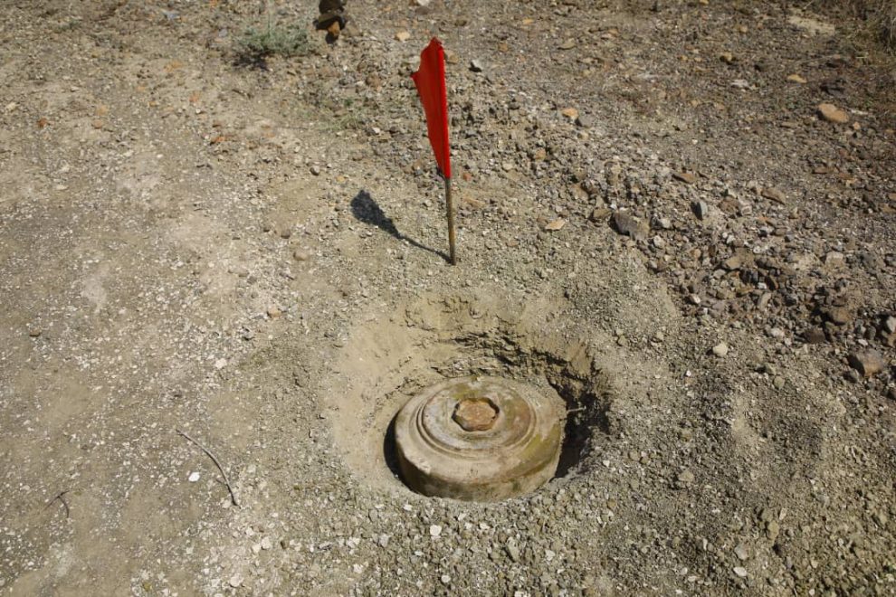 WhatsApp Image 2020 09 17 at 22.00.25