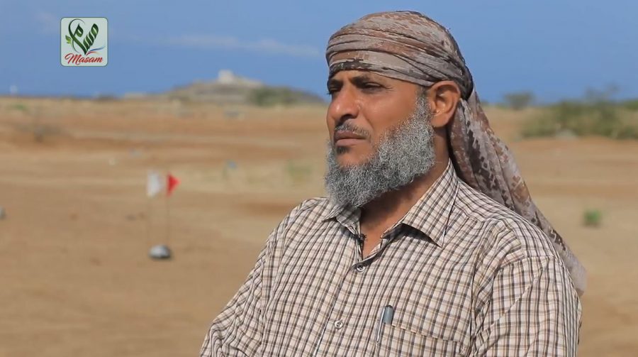 مدير ذباب