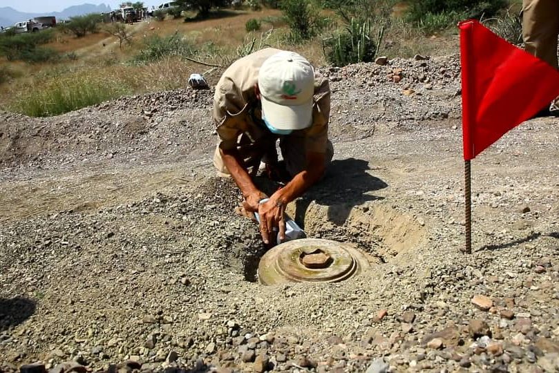 WhatsApp Image 2020 09 17 at 22.00.101