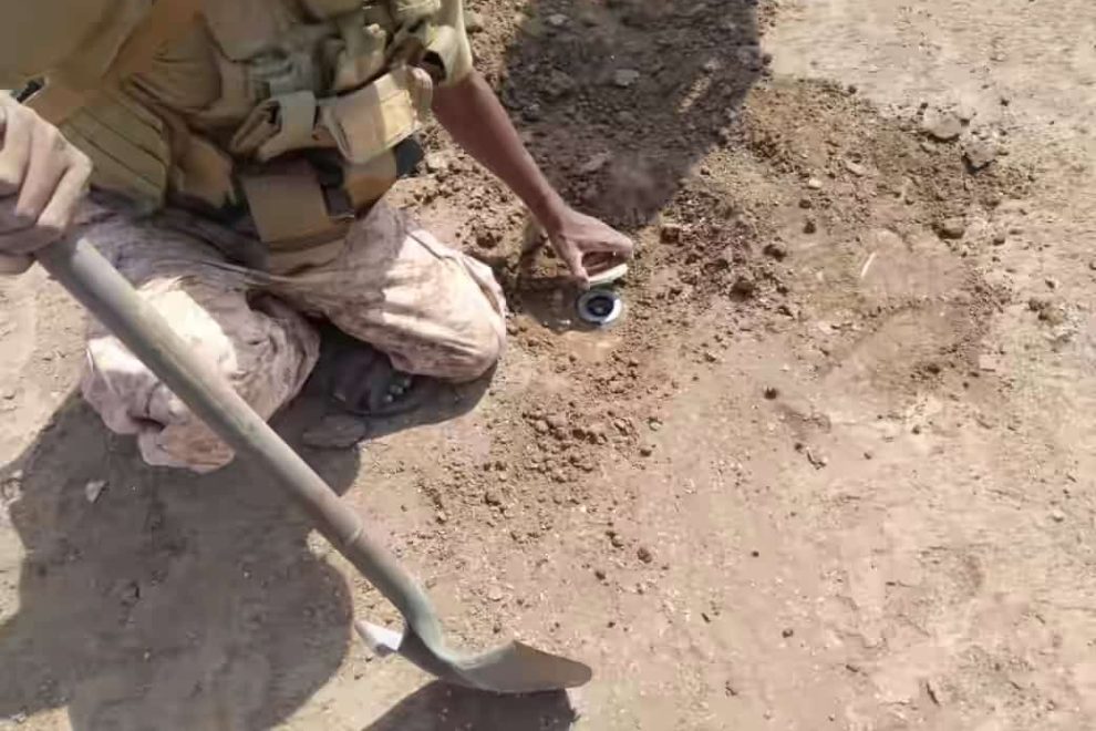 WhatsApp Image 2021 02 17 at 20.38.38