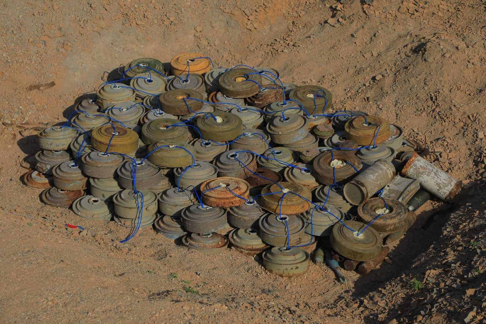 CP7A0262 compressed 1 scaled