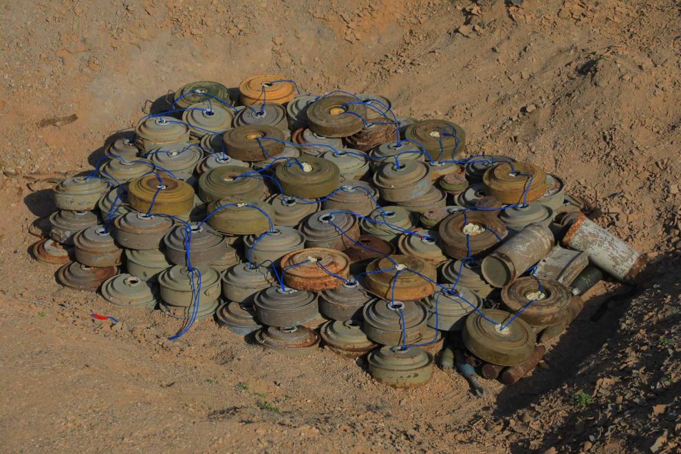 CP7A0262 compressed scaled