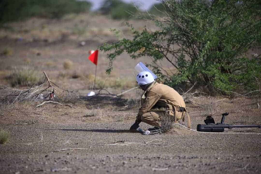 WhatsApp Image 2020 09 13 at 15.49.42