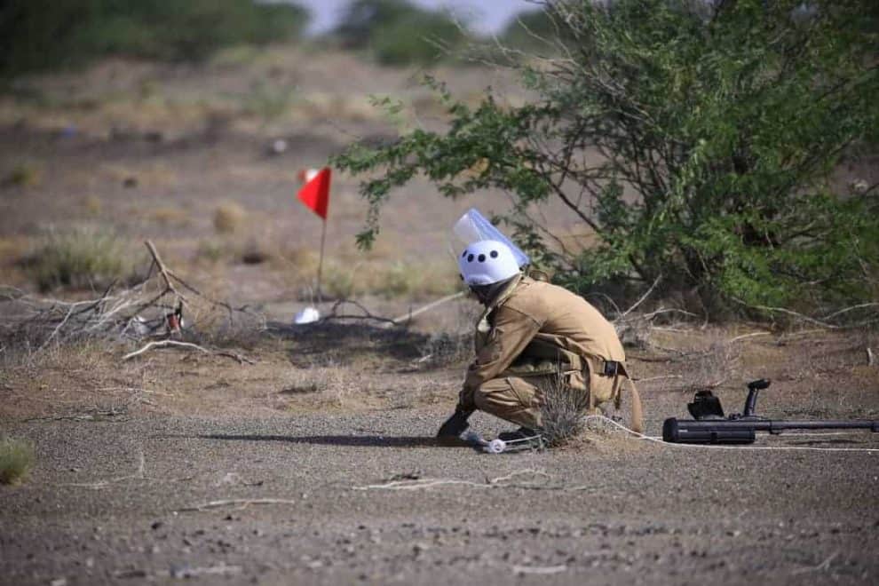 WhatsApp Image 2020 09 13 at 15.49.42