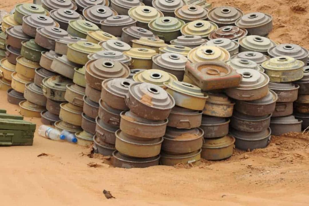 WhatsApp Image 2021 06 08 at 01.42.22