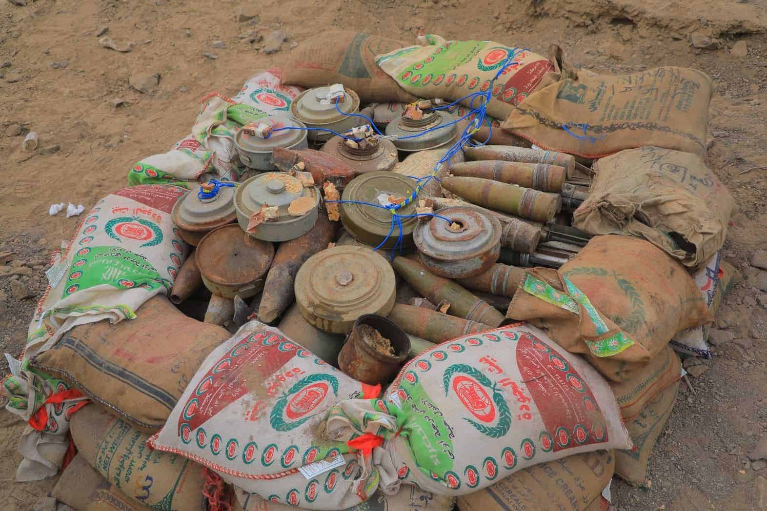 CP7A0002 compressed scaled