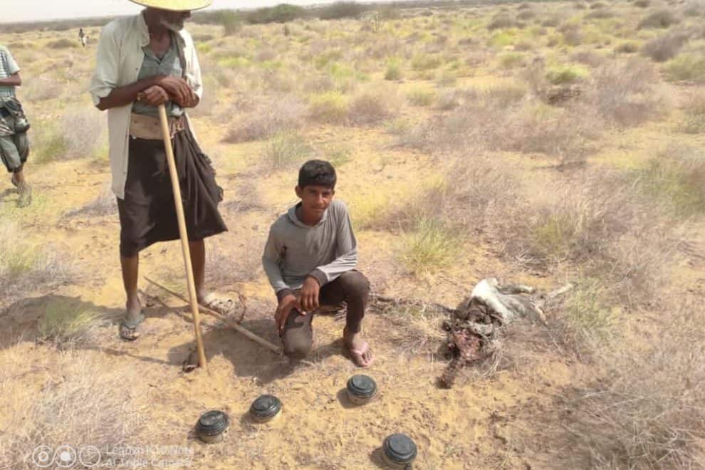 WhatsApp Image 2021 07 10 at 12.02.42