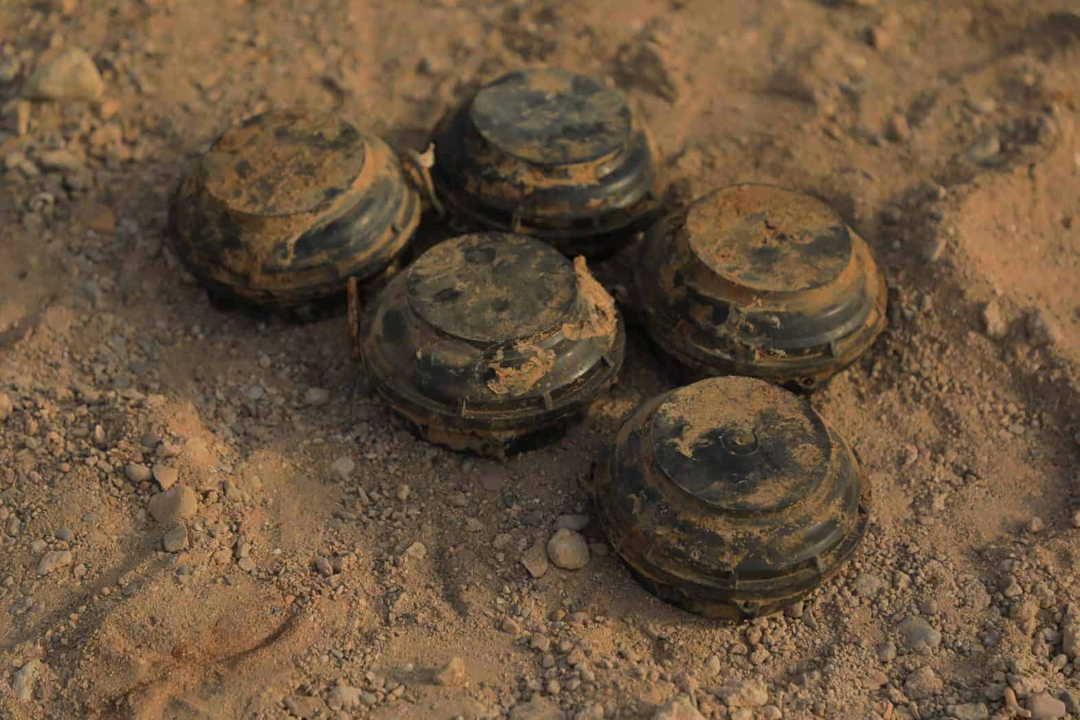 CP7A0327 Masam scaled