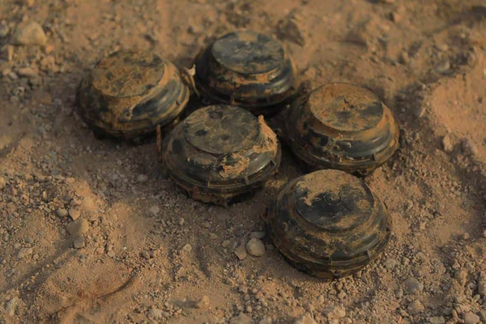 CP7A0327 Masam scaled