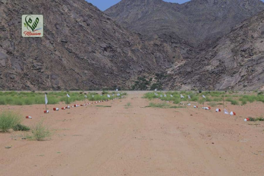 الحقل الجاري تأمينه