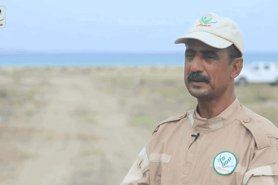 فكري حسن قاسم