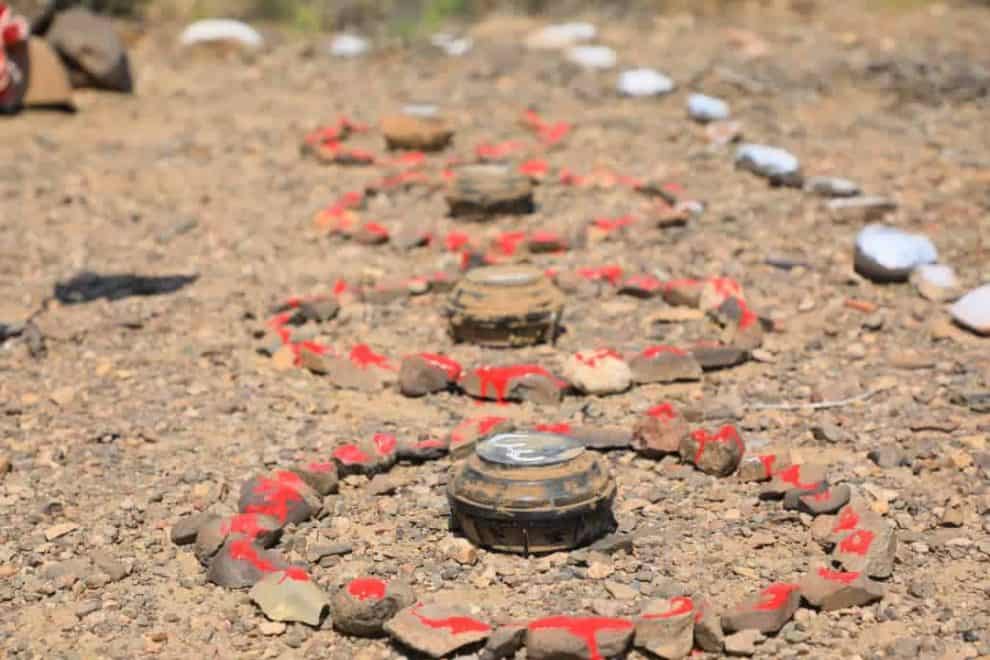 WhatsApp Image 2020 11 09 at 18.58.27