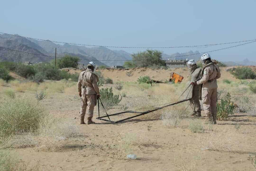 WhatsApp Image 2021 08 31 at 20.51.03