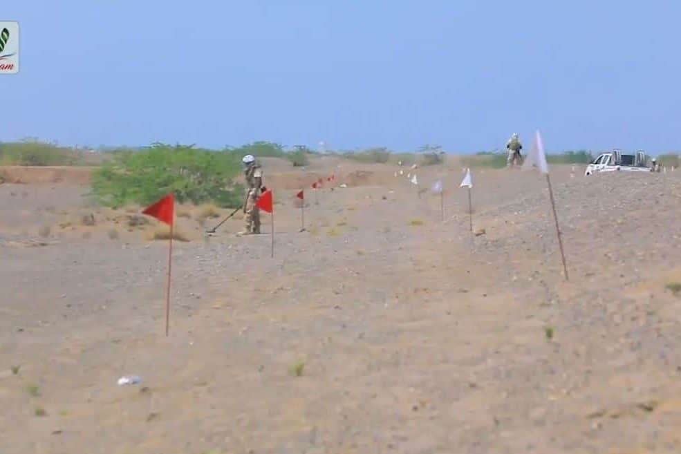 فرق مسام بالخوخه