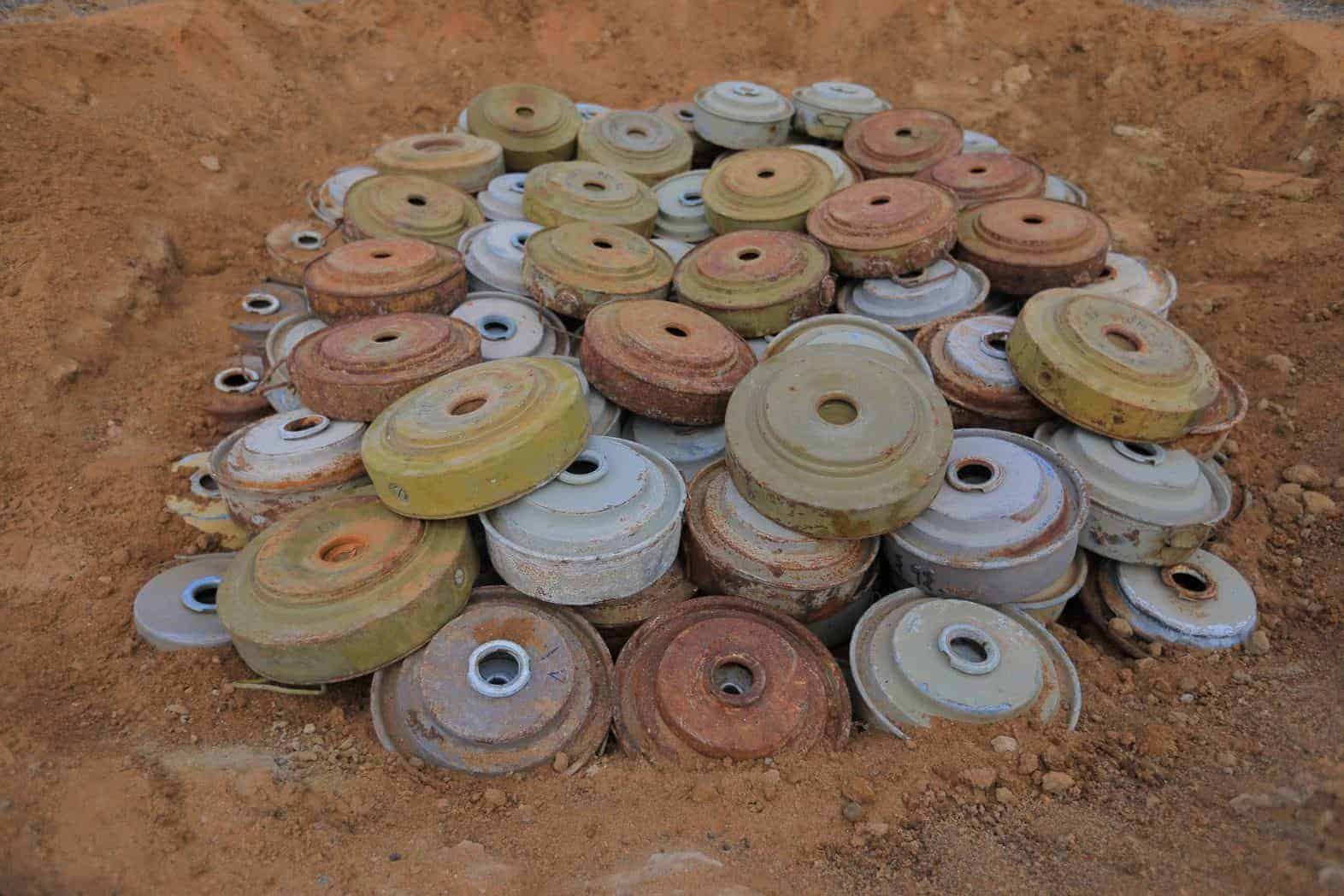 CP7A0148 compressed scaled