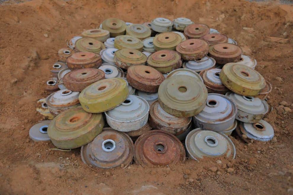 CP7A0148 compressed scaled