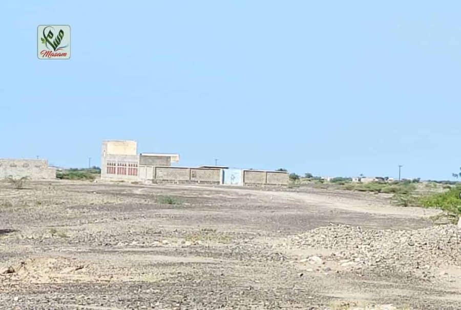نوعية